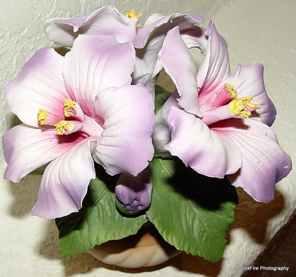 ANTIQUE CAPODIMONTE FLOWER InstAppraisal